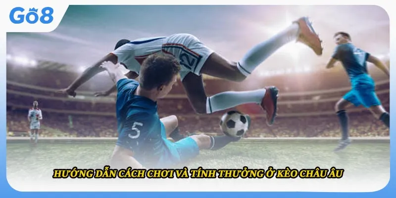 Hướng dẫn cách chơi và tính thưởng ở kèo châu âu